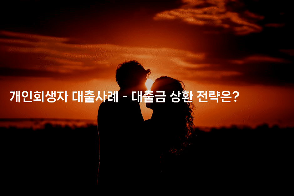 개인회생자 대출사례 - 대출금 상환 전략은?-금융루루