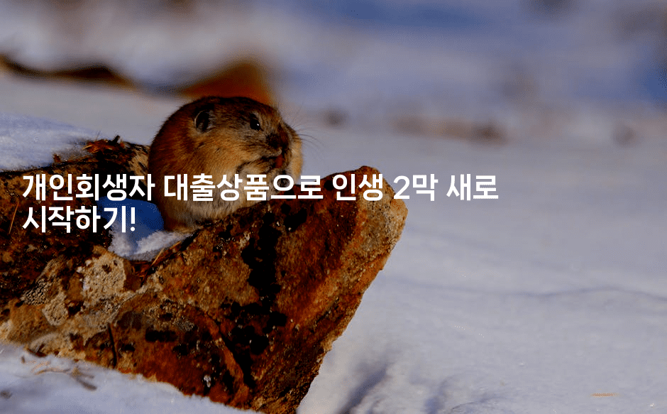 개인회생자 대출상품으로 인생 2막 새로 시작하기!-금융루루