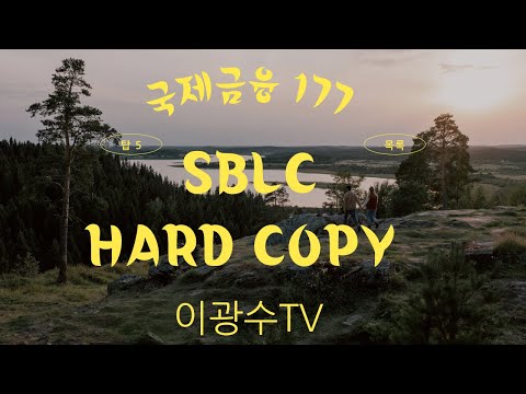 국제금융 : SBLC Hard Copy