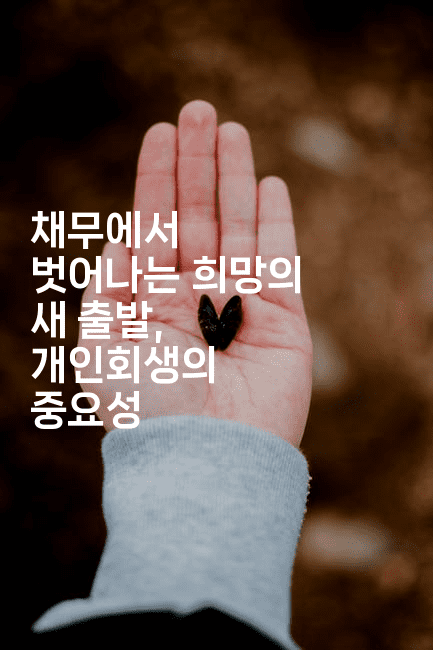 채무에서 벗어나는 희망의 새 출발, 개인회생의 중요성-금융루루