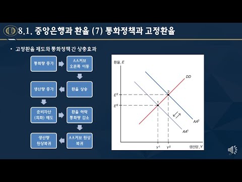 국제금융이론의 기초 14주차 (1/2)