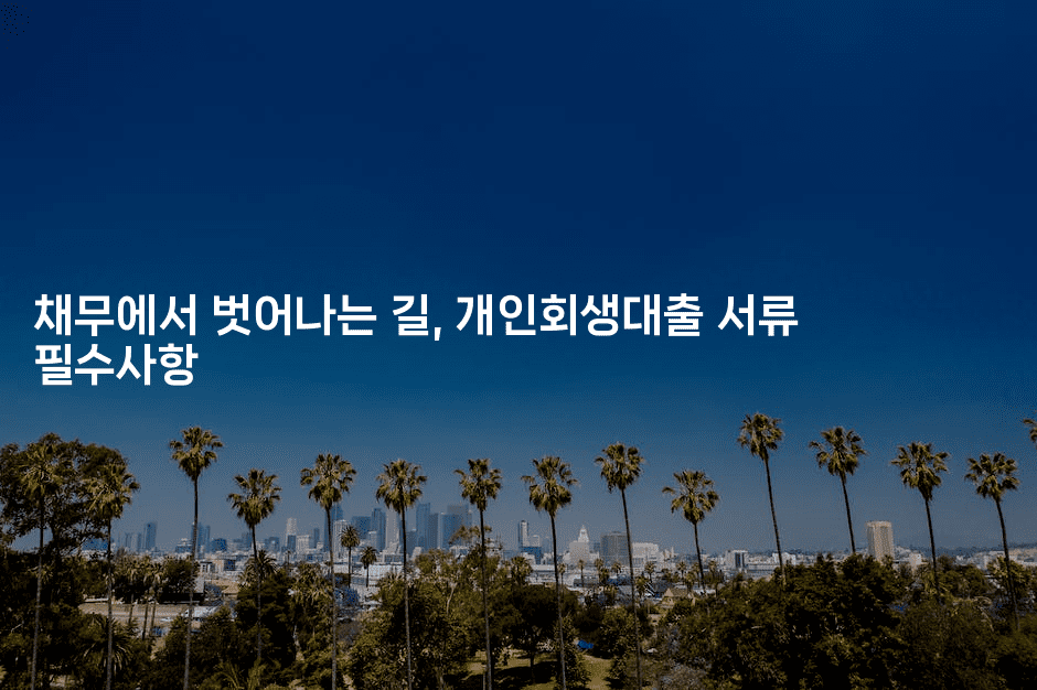 채무에서 벗어나는 길, 개인회생대출 서류 필수사항-금융루루