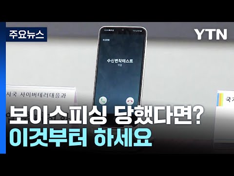 보이스피싱 당했다면?…"피해 신고·계좌 정지부터" / YTN