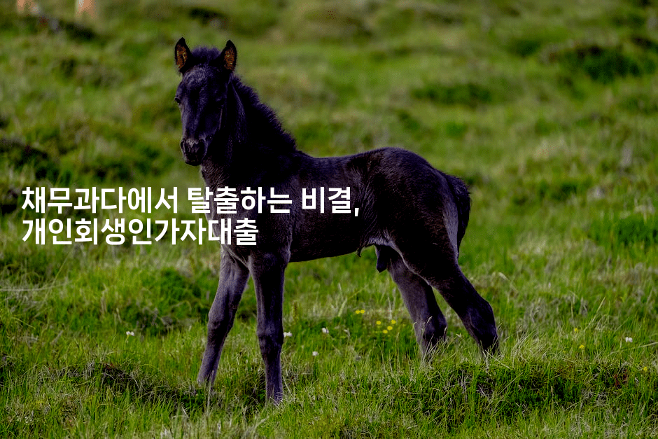 채무과다에서 탈출하는 비결, 개인회생인가자대출-금융루루