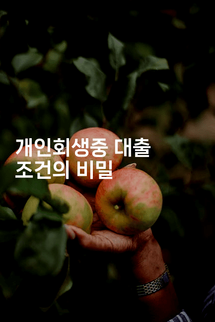 개인회생중 대출 조건의 비밀