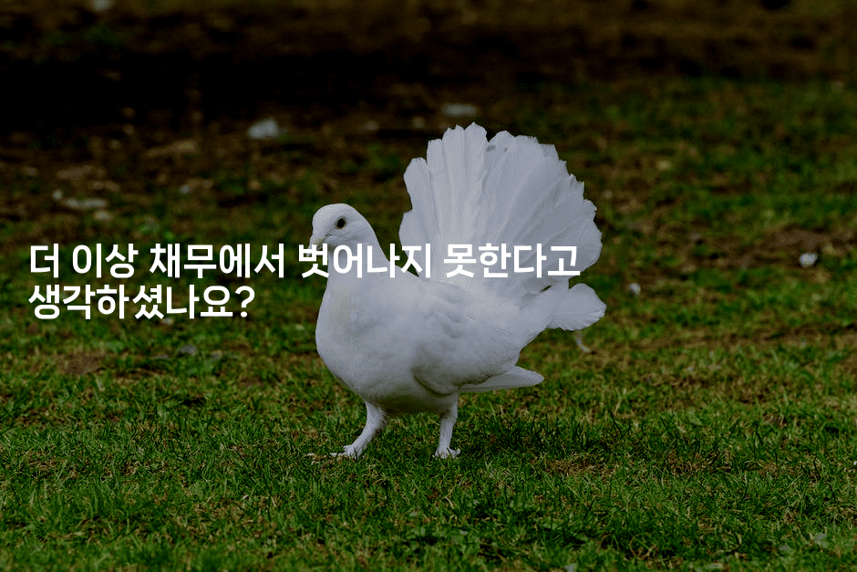 더 이상 채무에서 벗어나지 못한다고 생각하셨나요?