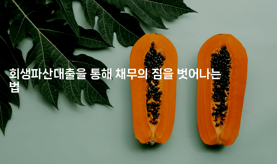 회생파산대출을 통해 채무의 짐을 벗어나는 법-금융루루