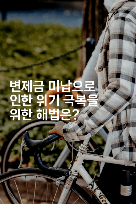 변제금 미납으로 인한 위기 극복을 위한 해법은?-금융루루