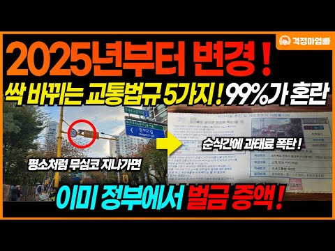 2025년 아예 싹 바뀌는 자동차 교통 법규 5가지! 모르면 벌금, 과태료 폭탄 받는 필수 운전 상식