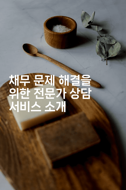 채무 문제 해결을 위한 전문가 상담 서비스 소개-금융루루