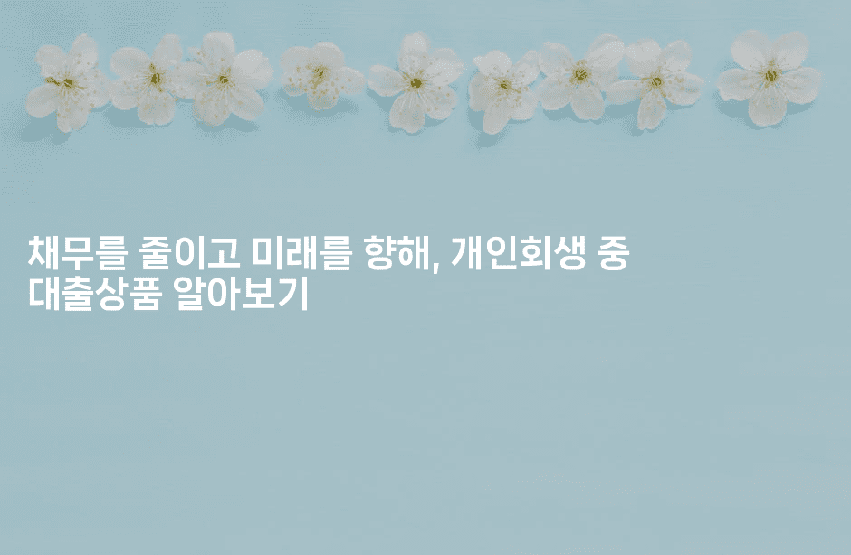 채무를 줄이고 미래를 향해, 개인회생 중 대출상품 알아보기-금융루루