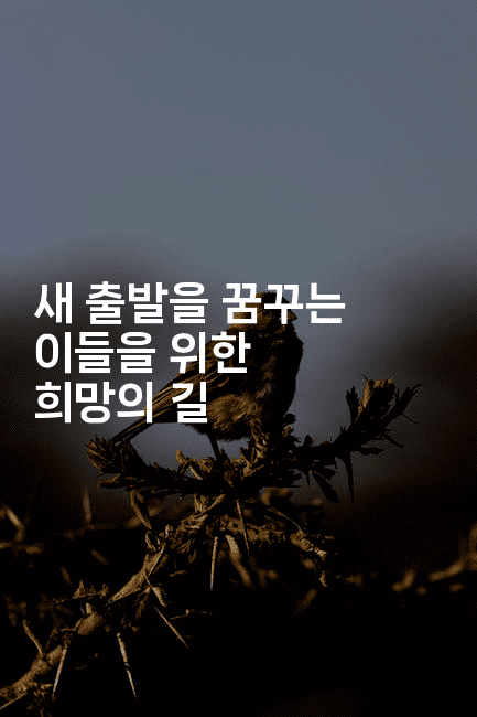 새 출발을 꿈꾸는 이들을 위한 희망의 길-금융루루