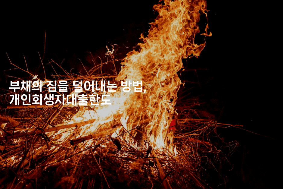 부채의 짐을 덜어내는 방법, 개인회생자대출한도-금융루루